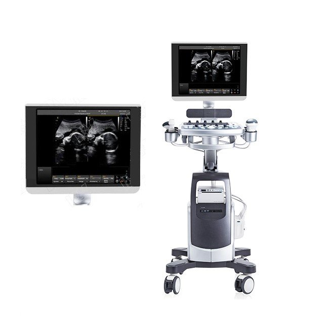 4D Ultrasound QBit7