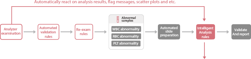 MC-80 Automated Digital Cell Morphology Analyzer - High-Resolution Blood Cell Analysis Device