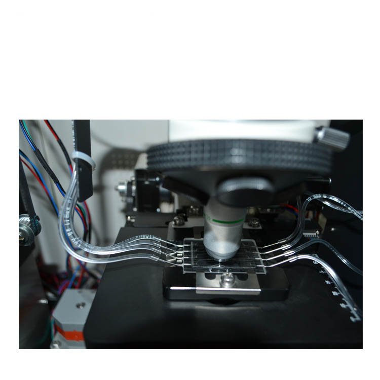 Automatic Urine Sediment Analyzer NEUDJ04