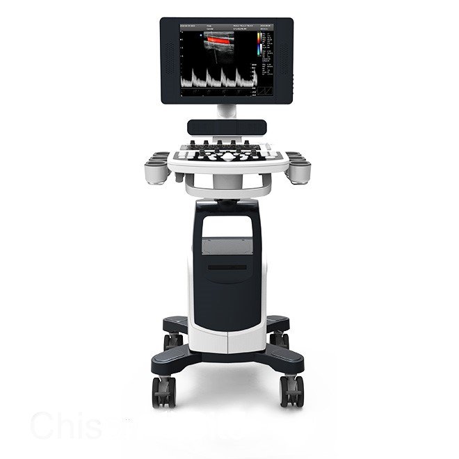 Veterinary Ultrasound QBit5
