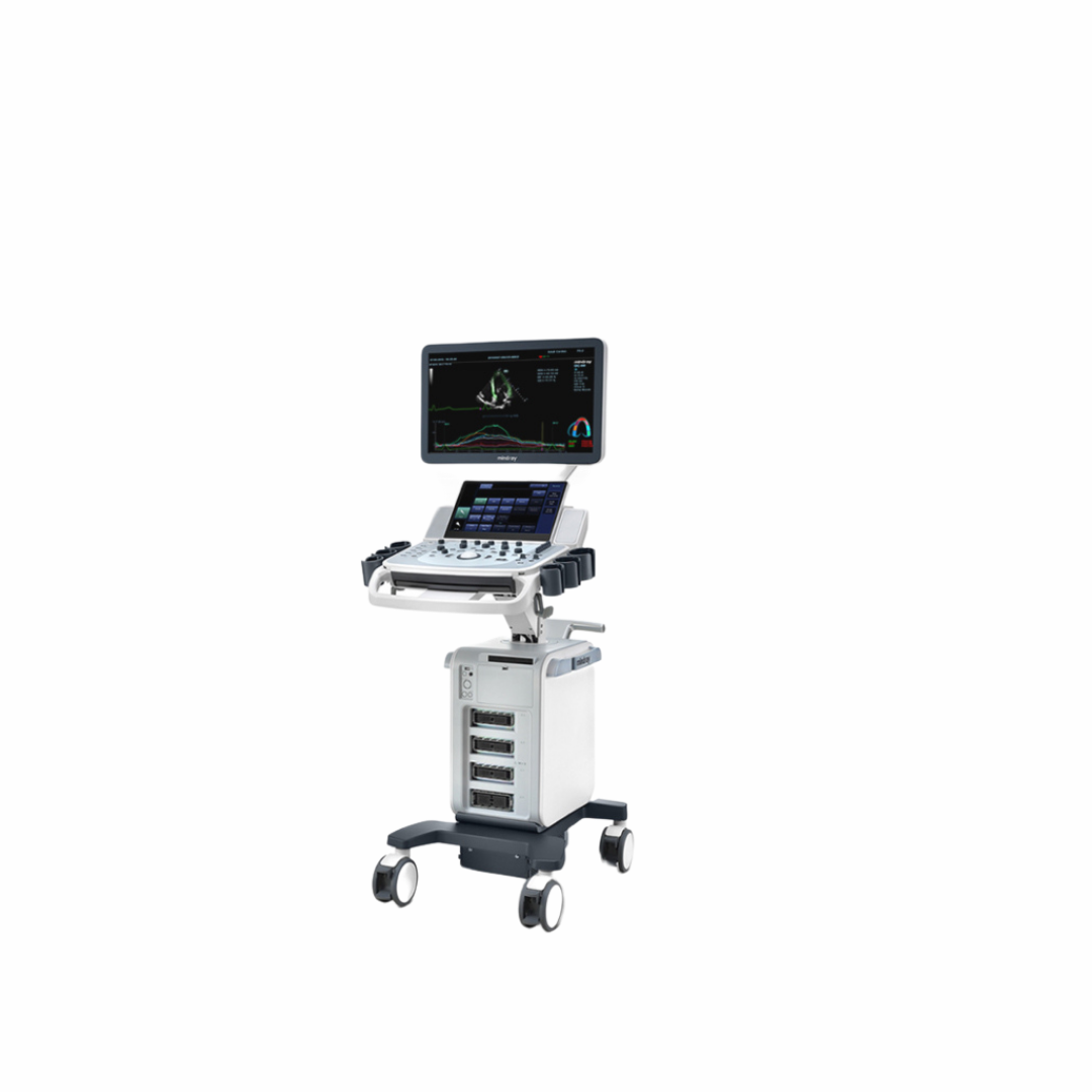 Mindray DC-60 ECHO Ultrasound System with X-Insight Technology for Enhanced Imaging and Clinical Efficiency