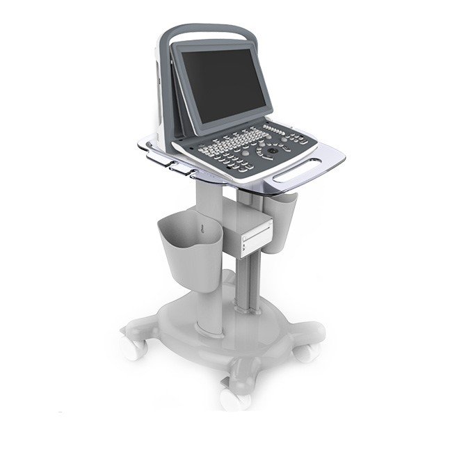 Musculoskeletal Ultrasound ECO2