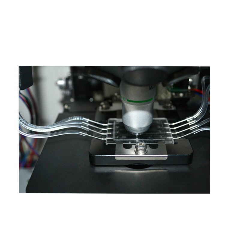 Automatic Urine Sediment Analyzer NEUDJ04