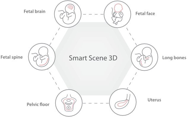 Nueba I9 Women and Neonatal Healthcare Ultrasound Device with Advanced Imaging Technology