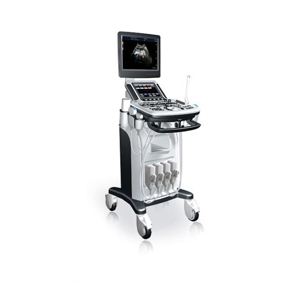4D Transvaginal | Testicular | Renal Ultrasound NEUCU46