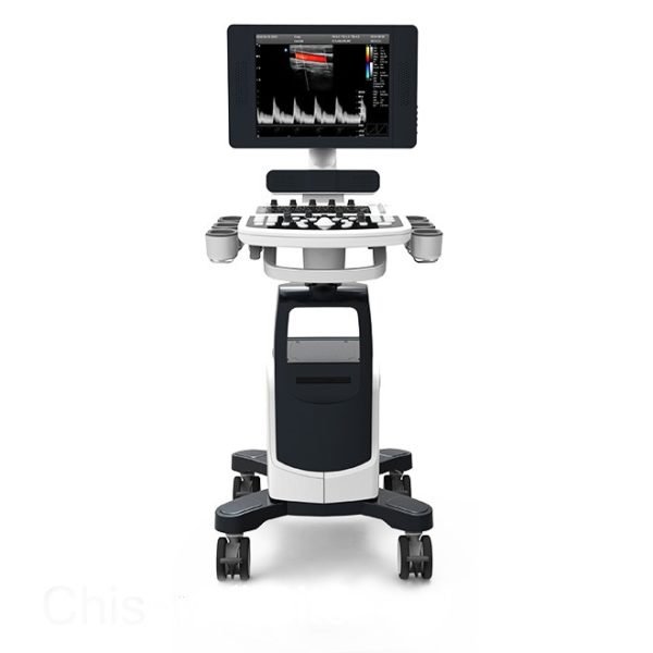 Veterinary Ultrasound QBit5