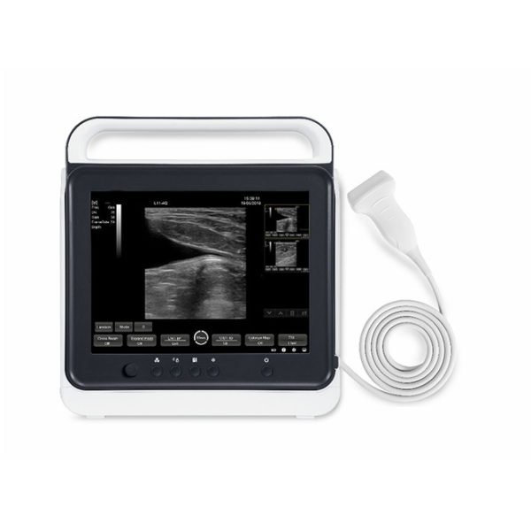 Portable Touch Screen Veterinary Ultrasound Scanner Machine NEUVU40
