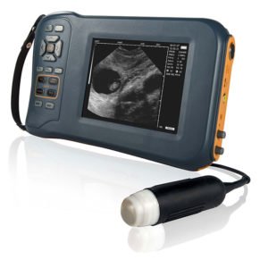 Handheld Digital Black and White Veterinary Ultrasound System Machine NEUVU44