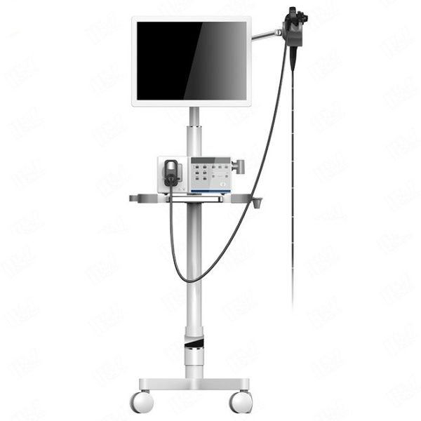 Professional Veterinary Endoscope System, Vet Camera Endoscopic for Dog or Cat NEUVP01