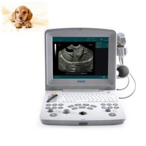Portable Veterinary Ultrasound Machine DUS60VET