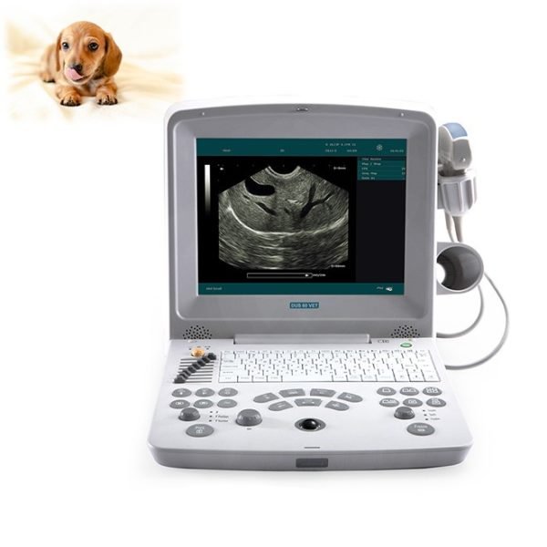 Portable Veterinary Ultrasound Machine DUS60VET