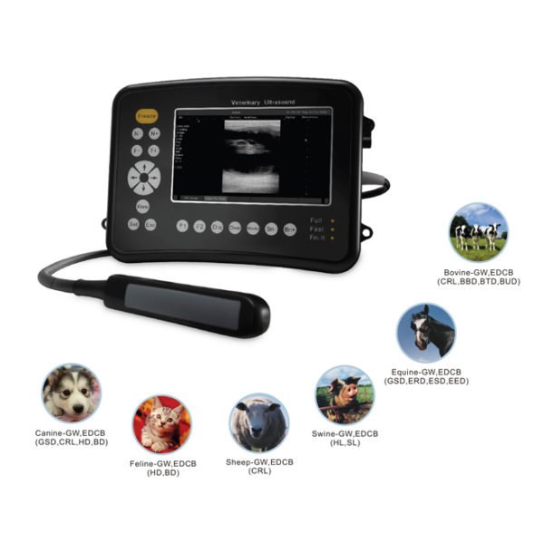 Vet Ultrasound Machine NEUVU26
