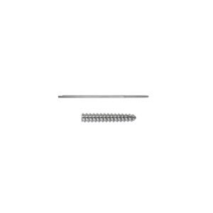 Schanz Screw