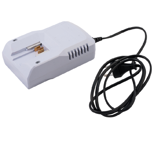 Charger (single port) 18142000
