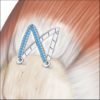 ORTHOPROMED FIBER TAPE SUTURE