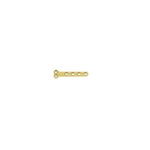 1.1mm T Type Plate (B Series) 2+4 Holes